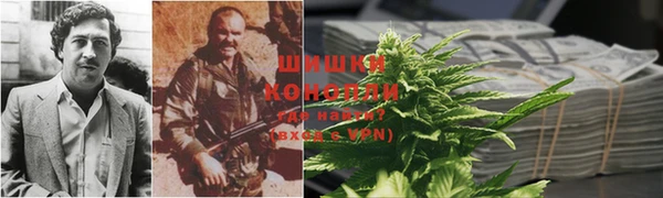 PSILOCYBIN Беломорск