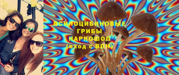 сатива Сосновка