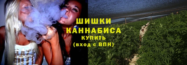 PSILOCYBIN Беломорск