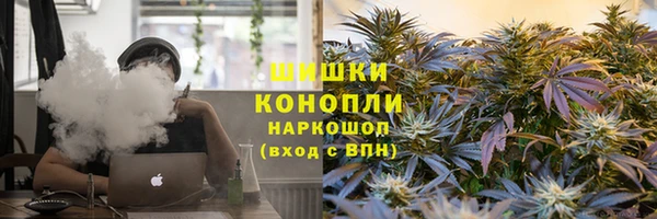 винт Белокуриха