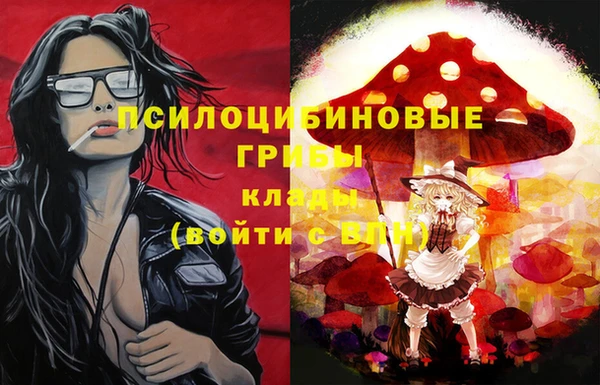 PSILOCYBIN Беломорск