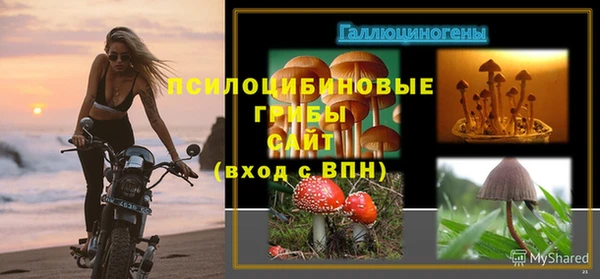 PSILOCYBIN Беломорск